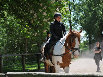 Bild 10 aus  LandSelection Ferienhof Friedrichsthal