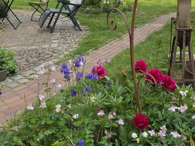 Bild 4 aus  Urlaub unterm Reet