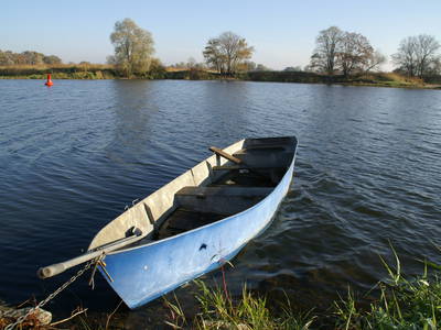Bild 32 aus  Erlenhof im Oderbruch - Rund ums Schaf