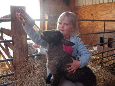 Bild 7 aus  Unsere kleine Farm