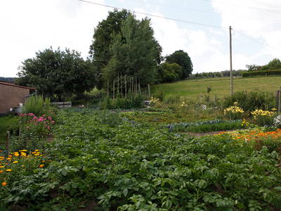 Unser Bauerngarten