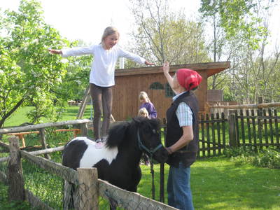 Balance auf dem Pony