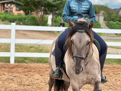 Bild 23 aus  Kur- & Landhotel Borstel Treff