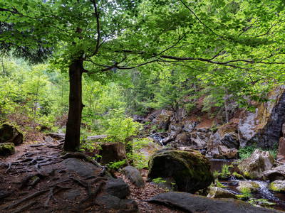 Bild 39 aus  Arber Lofts