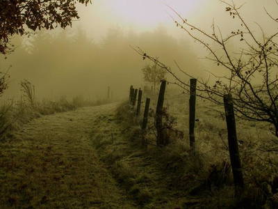 Bild 12 aus  Naurather Ferienhof