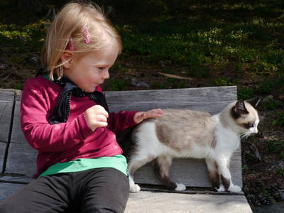 Bild 4 aus  Rieplechnhof