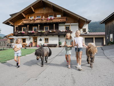 Bild 4 aus  Landselection Appartement Arnoldgut