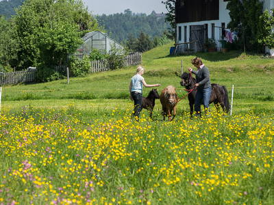 Bild 18 aus  Matheishof