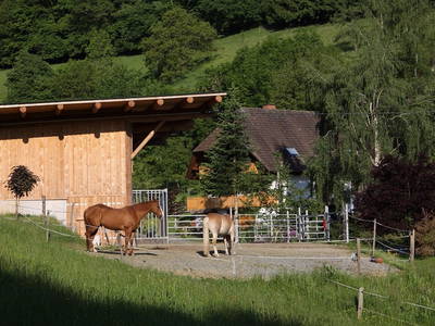 Unser Stall mit Pferden und Rinderhaltung