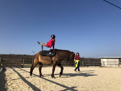 Bild 44 aus  Freizeit- und Ferienreiterhof Odenwald