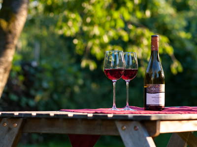 Bild 13 aus  Maienbrunnenhof