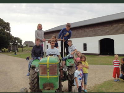 Bild 13 aus  Nübbelhof