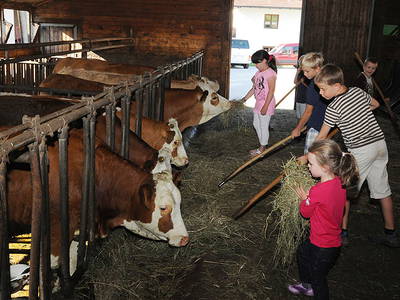 Bild 13 aus  Exenbacher Hof