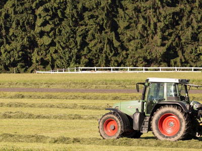 Bild 39 aus  Allgäu Bergferienhof