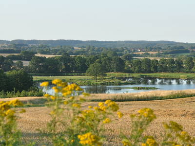 Bild 28 aus  LandSelection Ferienhof Radlandsichten
