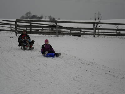 Bild 69 aus  Woferlhof