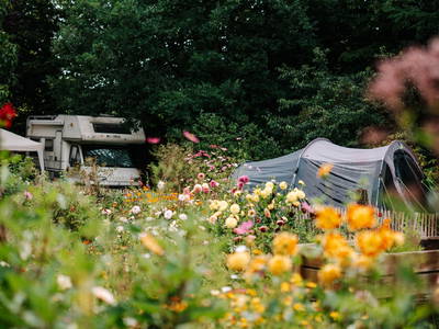 Campen zwischen Bauerngarten und Ponyweide