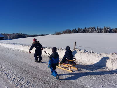 Bild 24 aus  Wangarhof