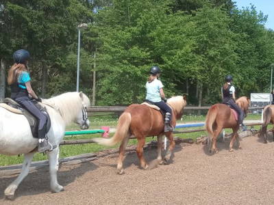 Bild 12 aus  Mitteltalhof "Lebensraum mit Vision"