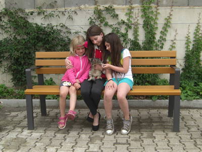 Bild 3 aus  Schmiedshof