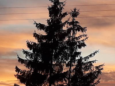 Bild 40 aus  Schmidts Ferienhof - Tierisch guter Urlaub im Herzen Deutschlands