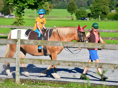 Bild 50 aus  Augustinerhof