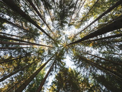 Bild 10 aus  Ferienhäuser Zur Schäferei