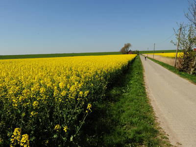 Bild 17 aus  NEUDEICHER HOF - Oldewurtel