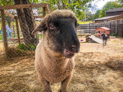 Bild 5 aus  Landgasthaus Hoffmann