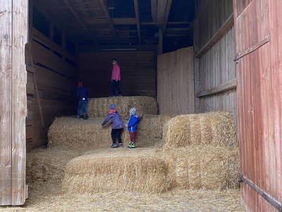 Bild 9 aus  Hanauerhof