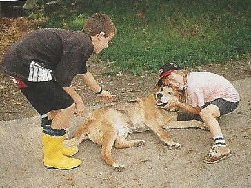 Bild 9 aus  Ferienhof Lang