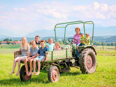 Bild 49 aus  Panoramahof