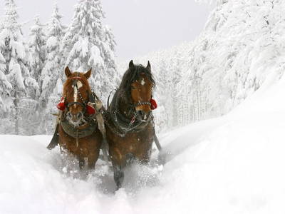 Bild 54 aus  Untersüßgut & Almidylle