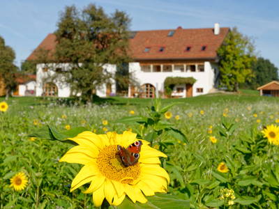 Bild 2 aus  LandSelection Hagerhof