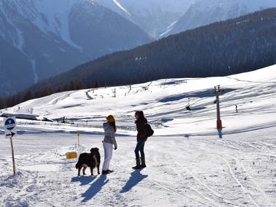 Bild 18 aus  Marschalkhof    Urlaub auf dem Bauernhof
