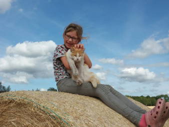 Bild 32 aus  Ponyhof Goldenstein