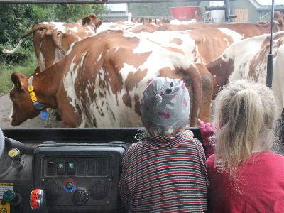 Bild 25 aus  Campinghof Dreisprung