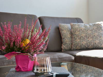 Bild 28 aus  Bauernhof Krebs