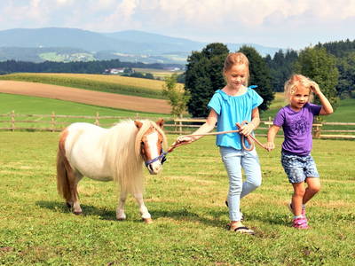 Bild 28 aus  Ponyferienhof