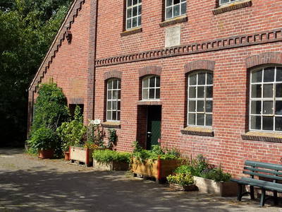 Bild 2 aus  Nase im Wind