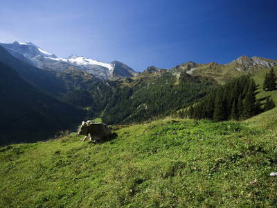 Bild 12 aus  Ferienhaus Bockstecken