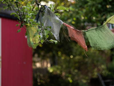 Bild 31 aus  Endlhof