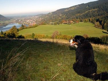 Bild 12 aus  Oberleitenhof