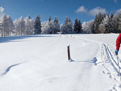 Bild 4 aus  Gästehaus Schmalzreich
