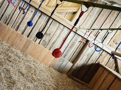 Bild 35 aus  Ponyferienhof