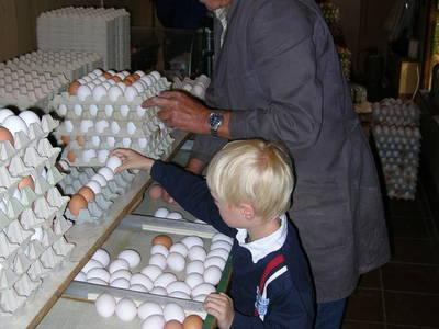 Eiersortieren macht auch den Kindern viel Spaß