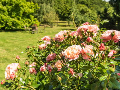 Bild 3 aus  Ferienwohnungen Bendfeldt