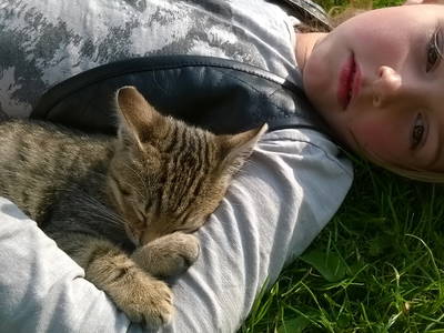 Bild 27 aus  Springbakgaard