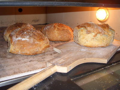 Bild 17 aus  Hirzighof