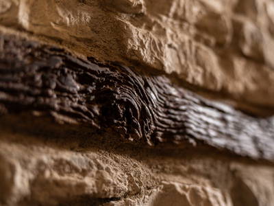 Bild 31 aus  LandSelection Weingut "IL PALAGIO"